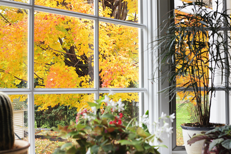 kitchen window looking out to tree changing colors with the fall season.